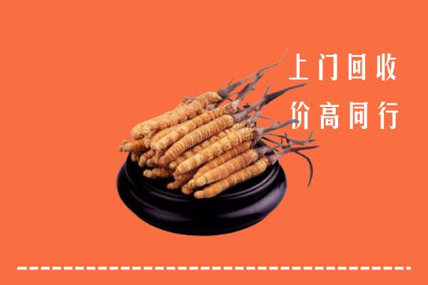 高价求购：尤溪县回收散虫草