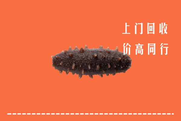 尤溪县回收海参