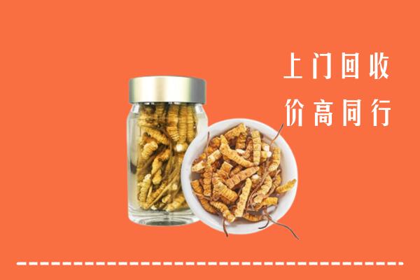 尤溪县回收冬虫夏草